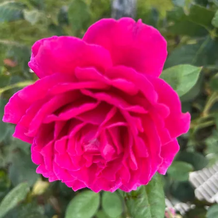 Prestige 1 Bedroom 4 People Hotel de apartamente